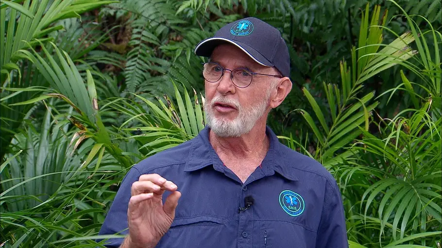 Dr. Bob im Dschungelcamp Dr Bob im Dschungelcamp