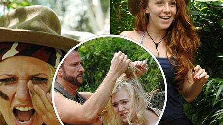 Dschungelcamp: Die erfolgreichste Staffel nach Einschaltquoten - Foto: RTL
