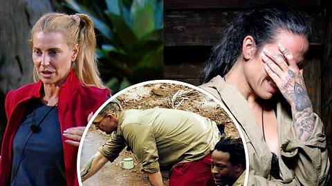Dschungelcamp: Giulia Siegel, Elena Miras, Eric Stehfest und Mola Adebisi - Foto: RTL