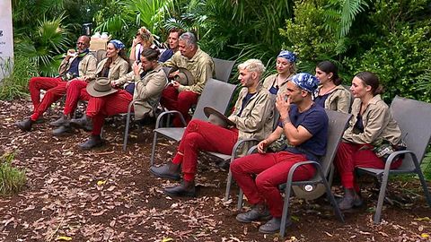 Dschungelcamp 2025: Alle Camper - Foto: RTL