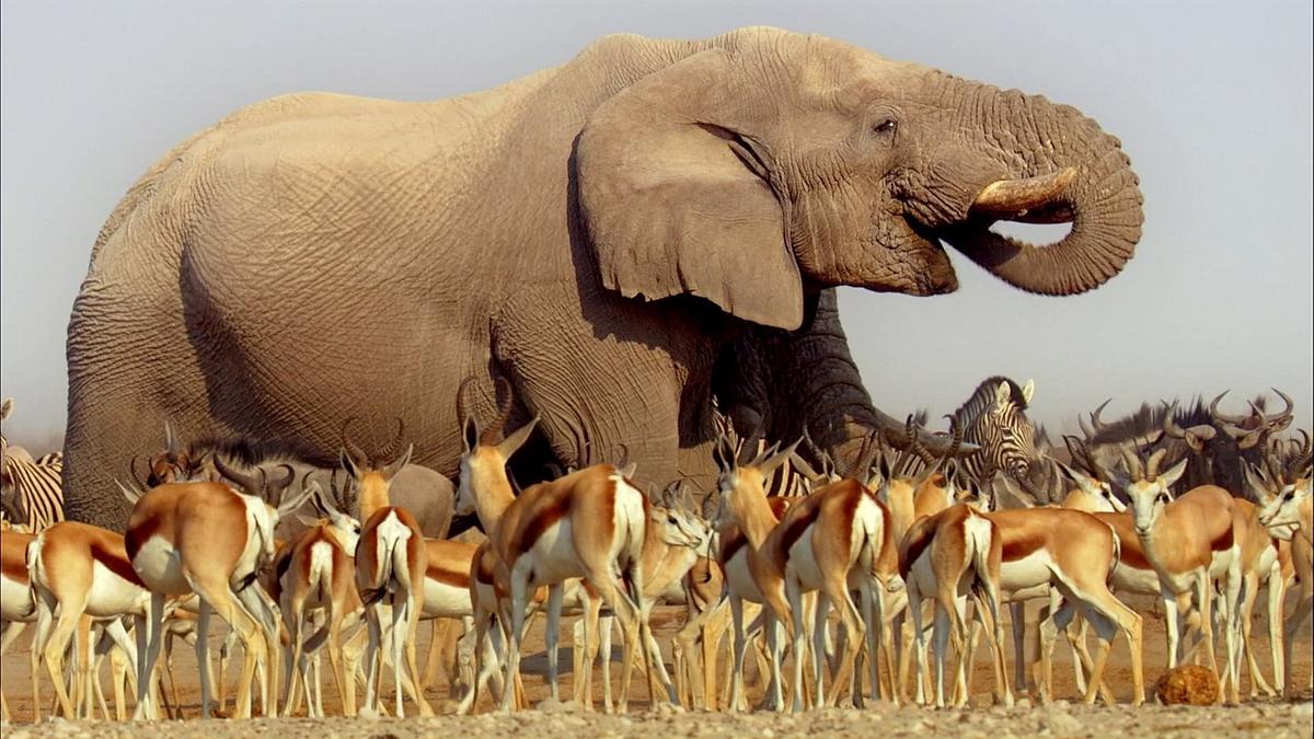 Unbekanntes Afrika Unbekanntes Afrika