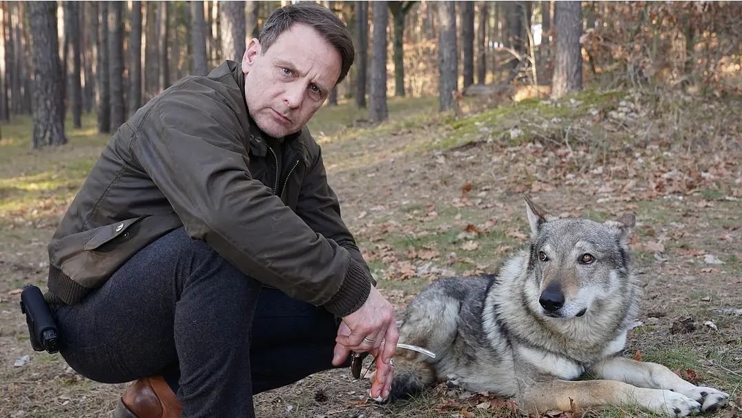 Hendrik Duyn kniet im Wald neben einem Wolf.  - Foto: RTL