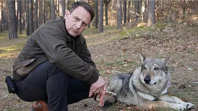 Hendrik Duyn kniet im Wald neben einem Wolf.  - Foto: RTL