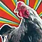 Dummes Huhn? Keineswegs! Thumbnail
