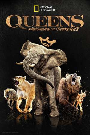 Queens – Königinnen des Tierreichs - Foto: TMDB