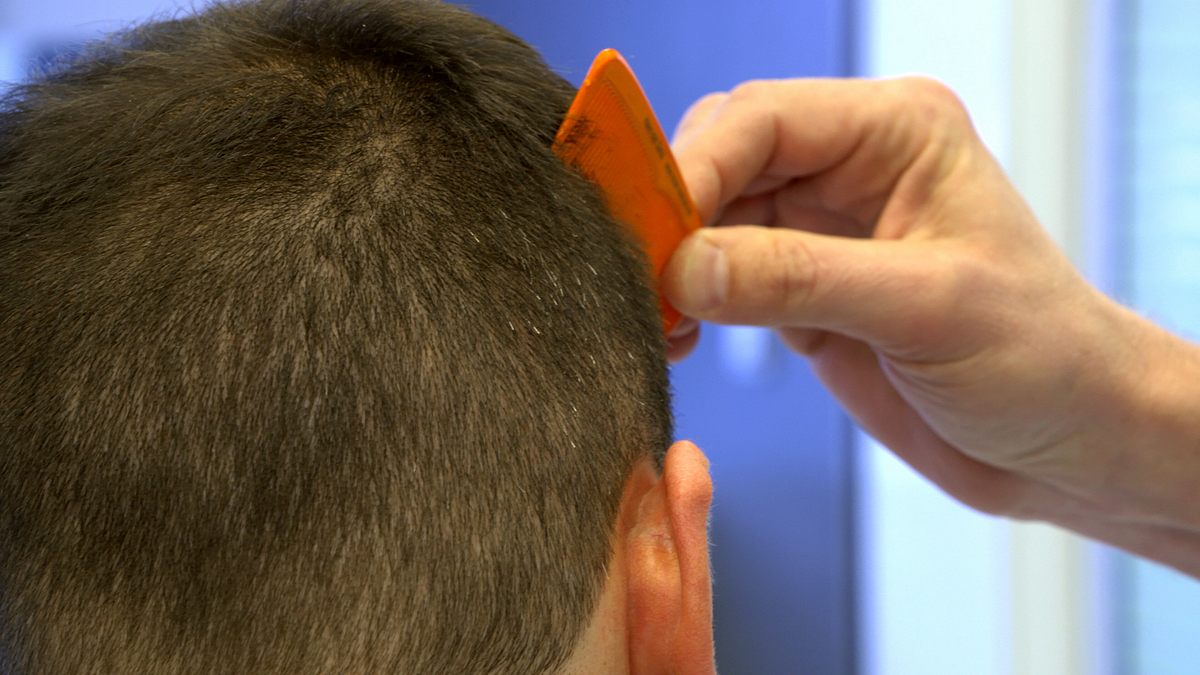 alpha-thema: Kostbares Haar alpha-thema: kostbares haar