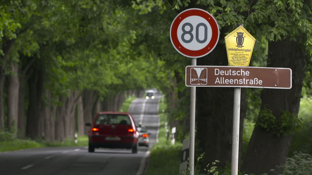 traumstraßen, die sie kennen sollten