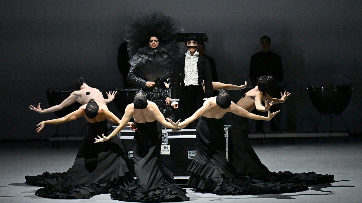 afanador - ballet nacional de españa