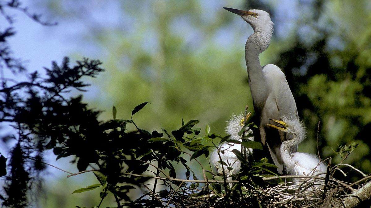 natur exclusiv