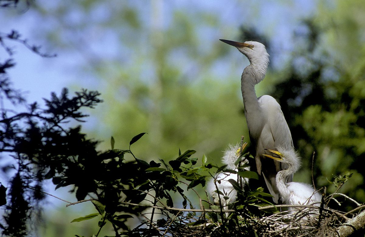 natur exclusiv
