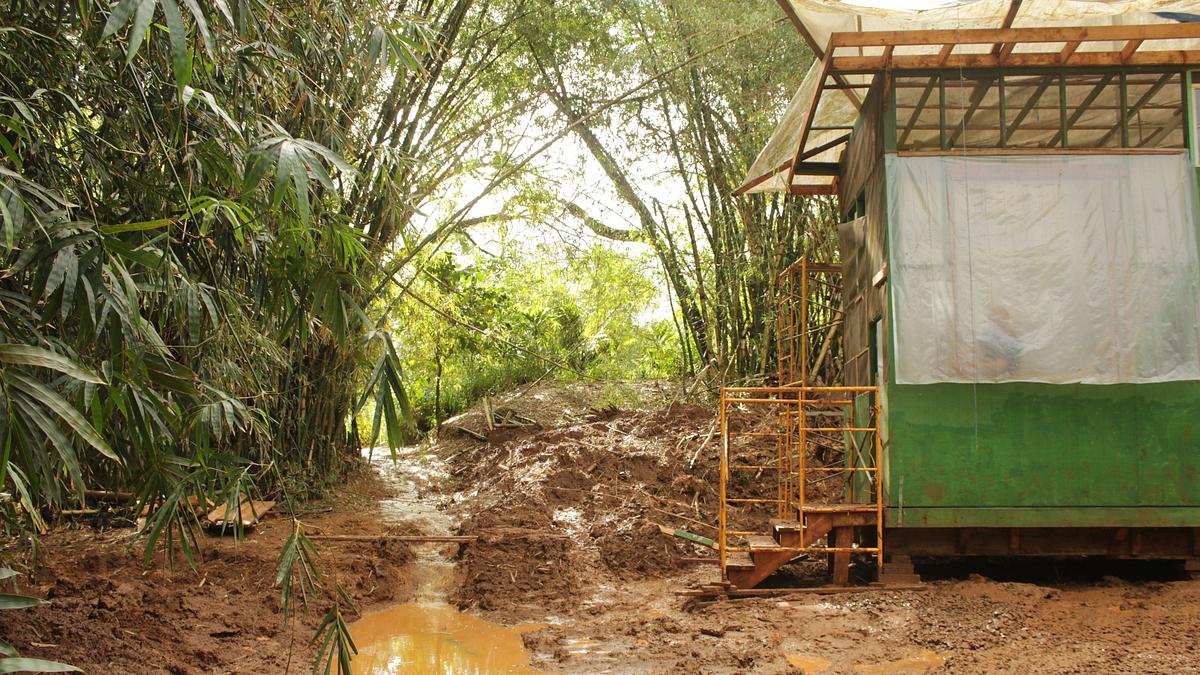 home rescue - wohnen in der wildnis