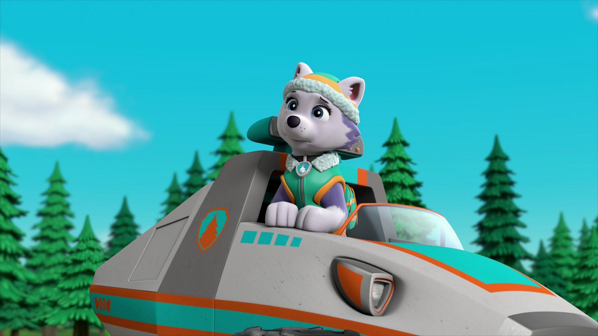 paw patrol - helfer auf vier pfoten