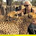 Das Waisenhaus für wilde Tiere - Abenteuer Afrika Thumbnail