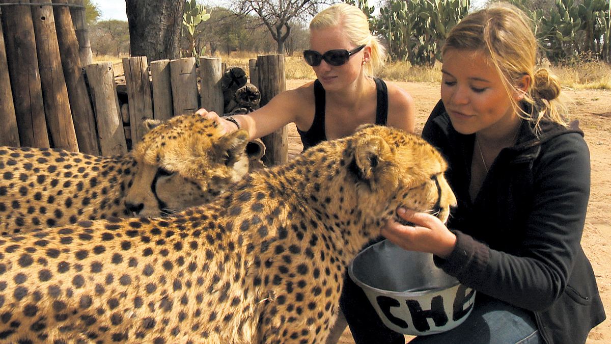 das waisenhaus für wilde tiere - abenteuer afrika