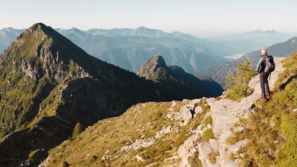 wilde schweiz