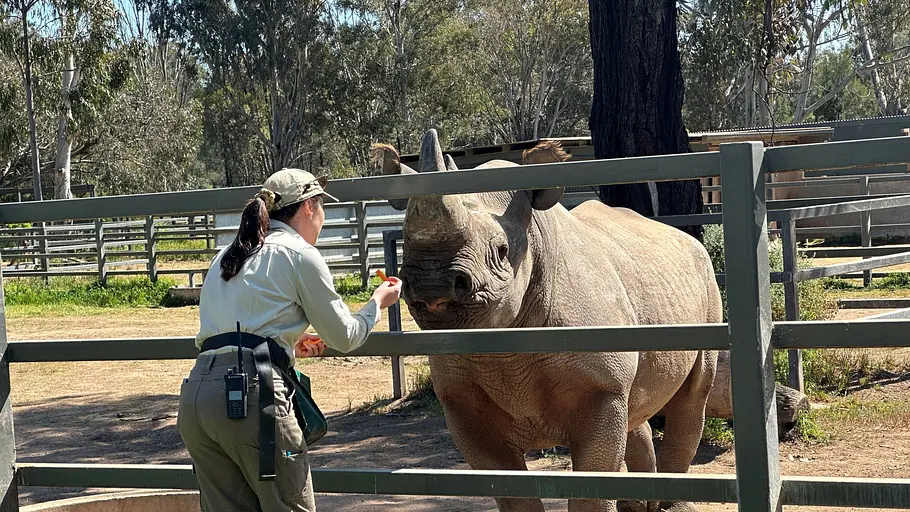 taronga zoo hautnah