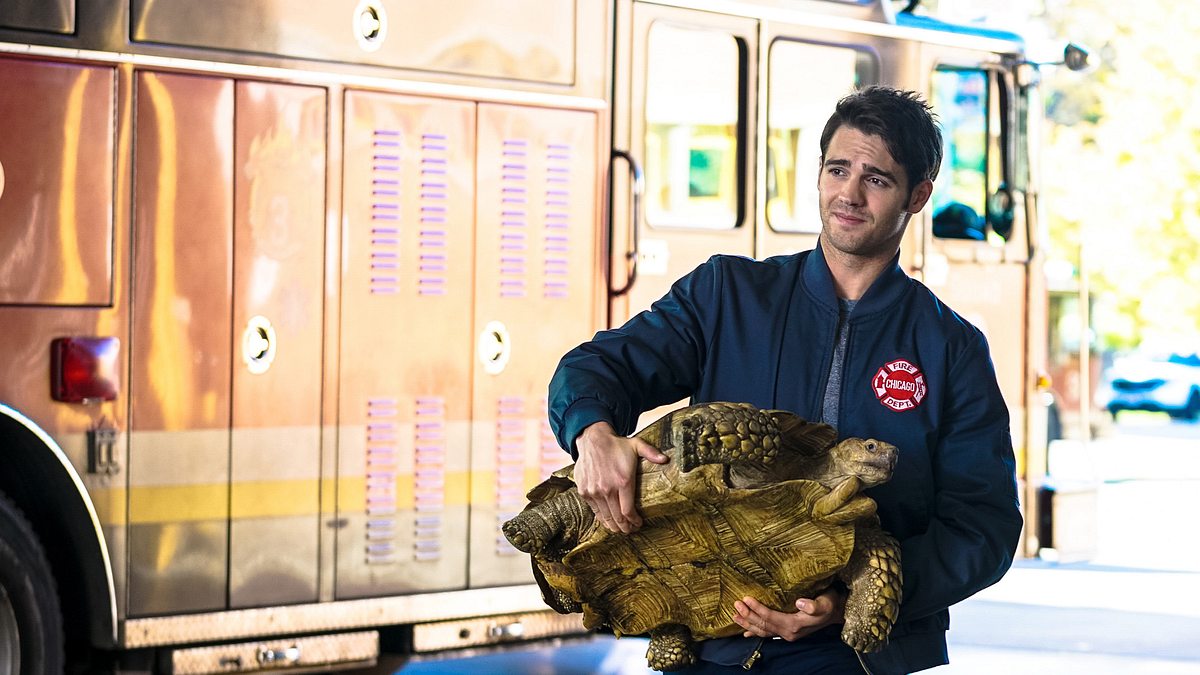 chicago fire