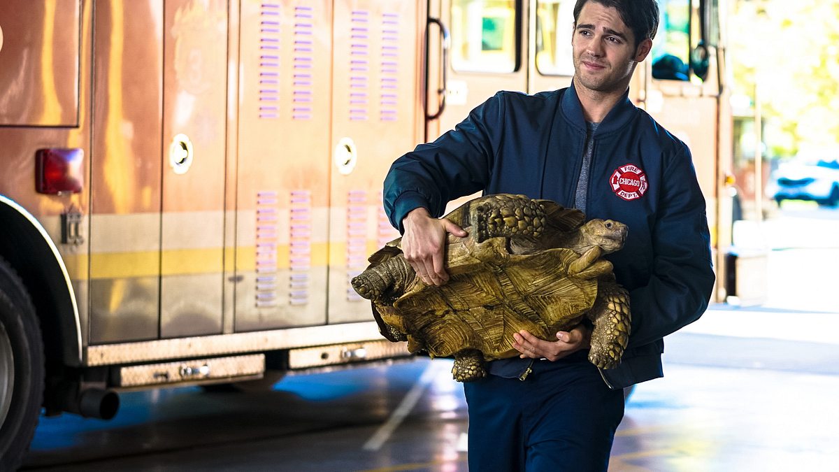 chicago fire