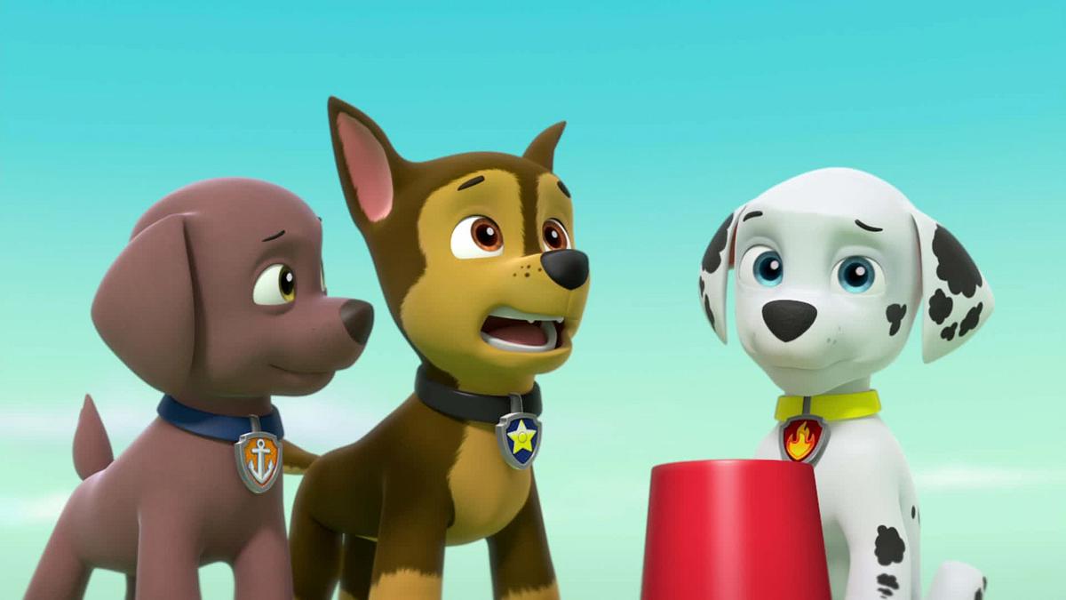 paw patrol - helfer auf vier pfoten