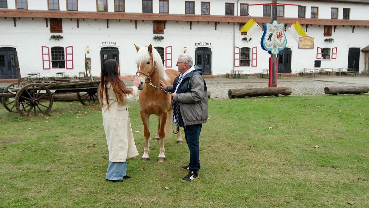 Bauer sucht Frau International bauer sucht frau international