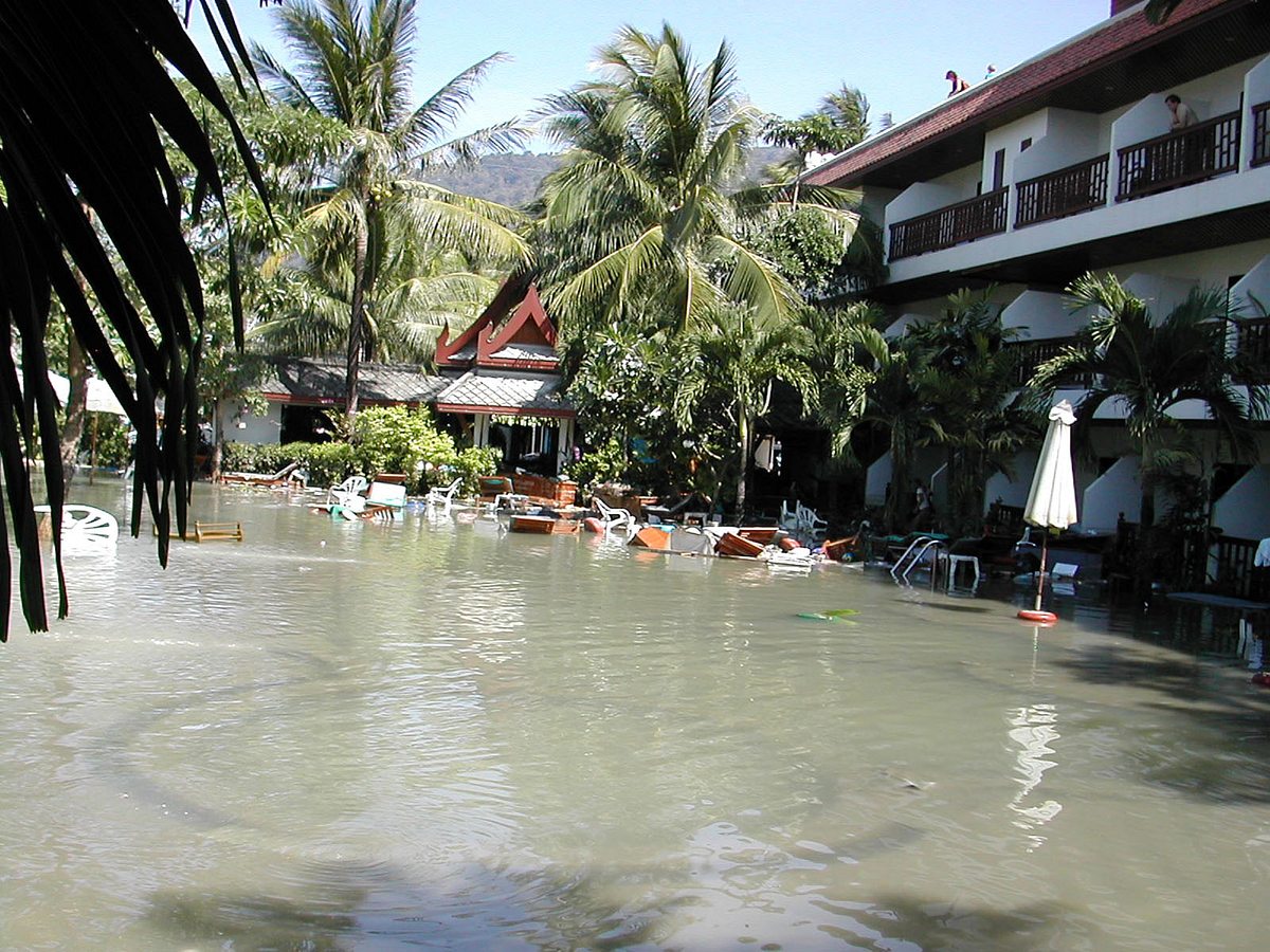 Tsunami: Wettlauf gegen die Zeit tsunami: wettlauf gegen die zeit