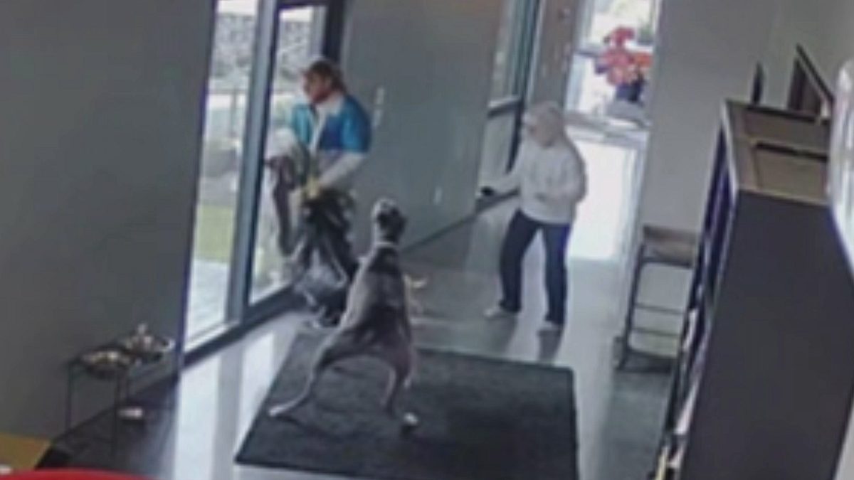 Arabellas Crime Time - Verbrechen im Visier arabellas crime time - verbrechen im visier