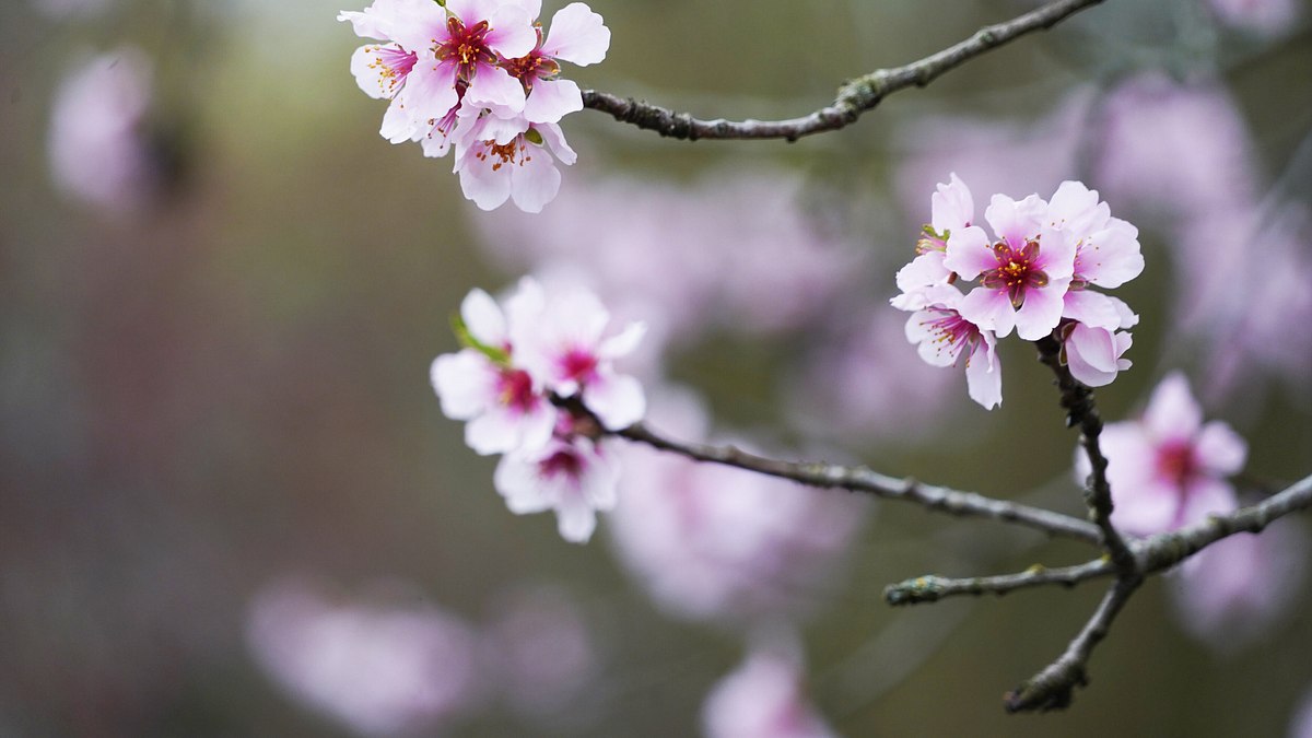 natur im garten