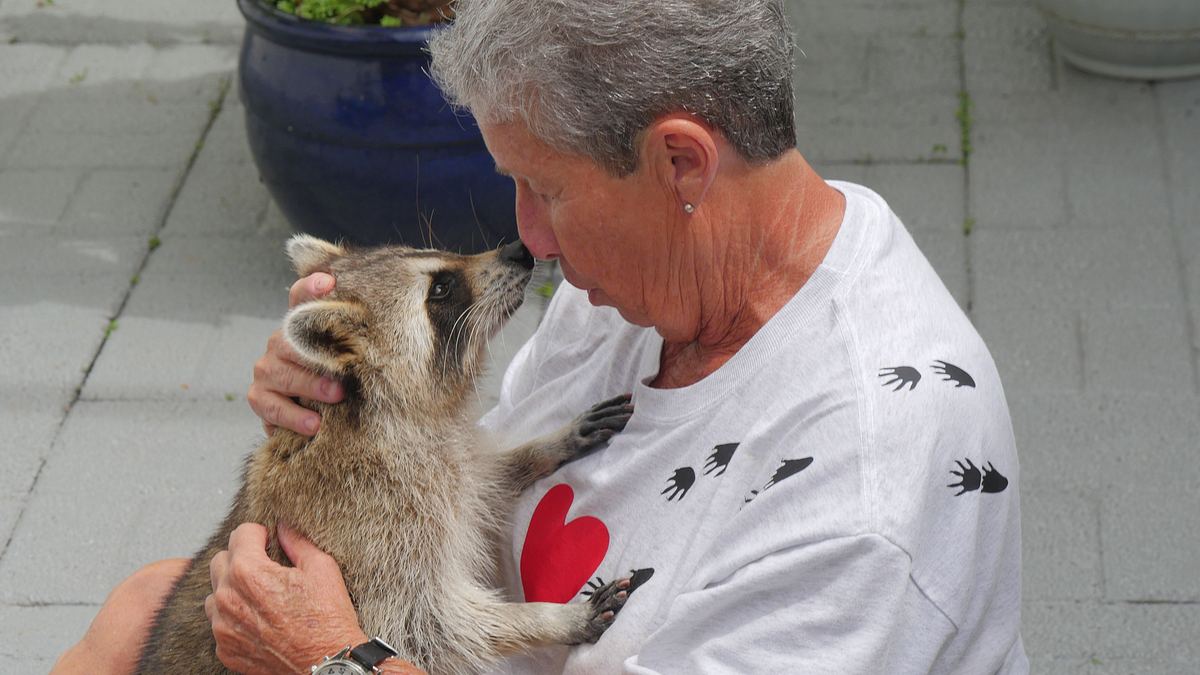 tierische freundschaften