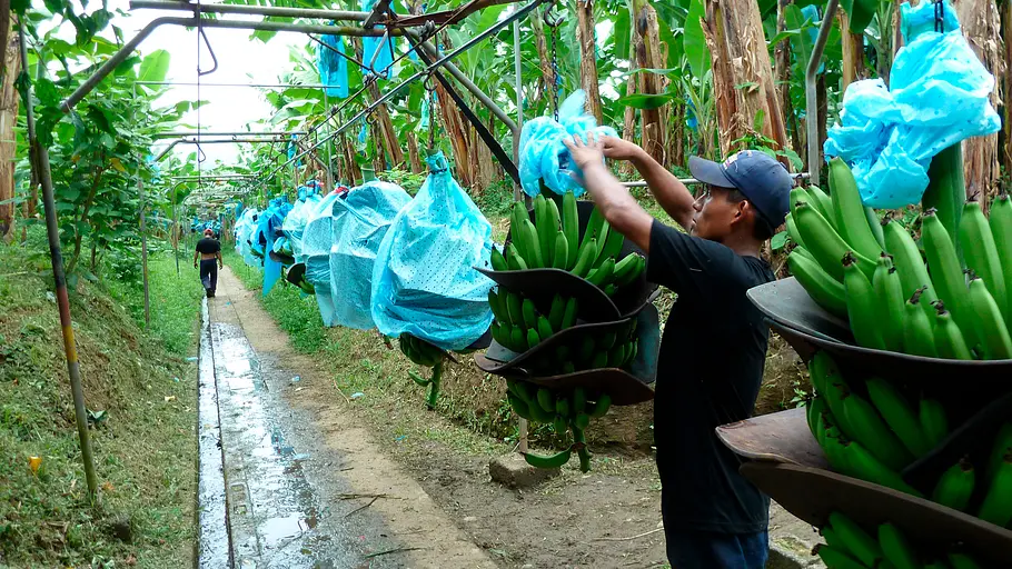 costa rica - mittelamerikas grüne schatzkammer