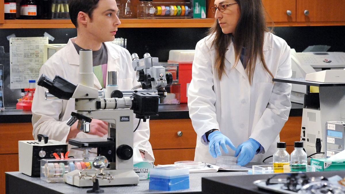the big bang theory
