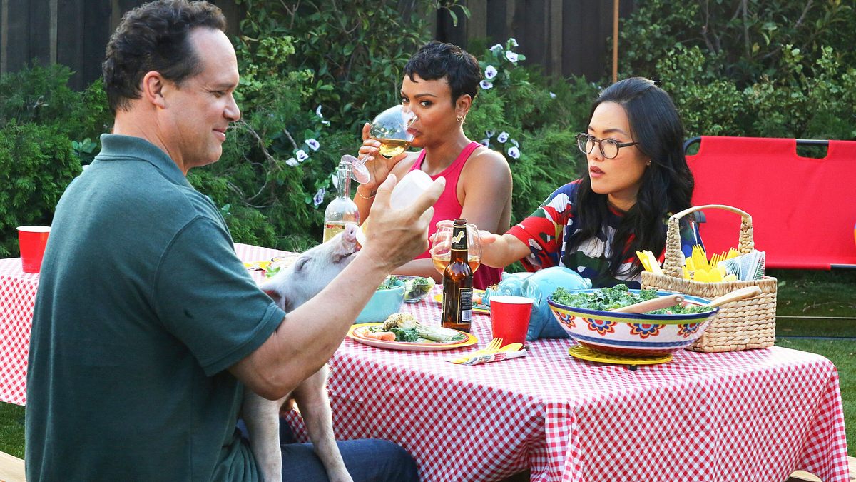 american housewife
