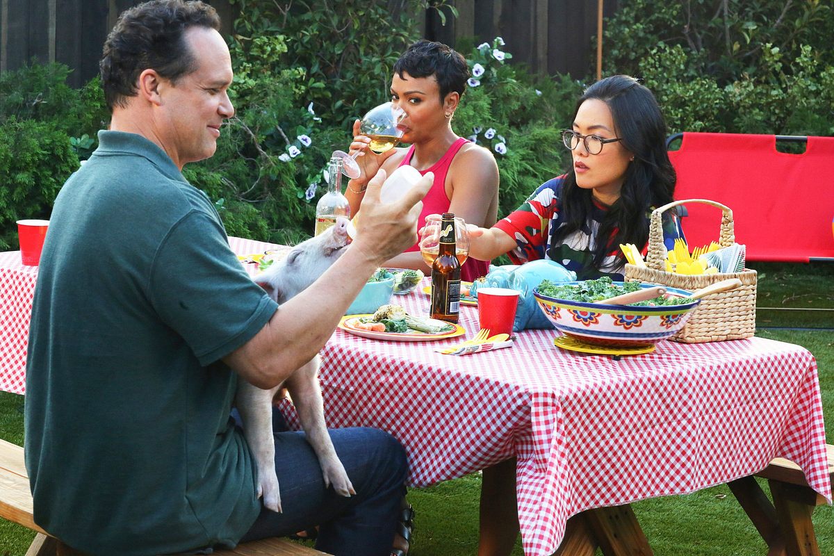 American Housewife american housewife