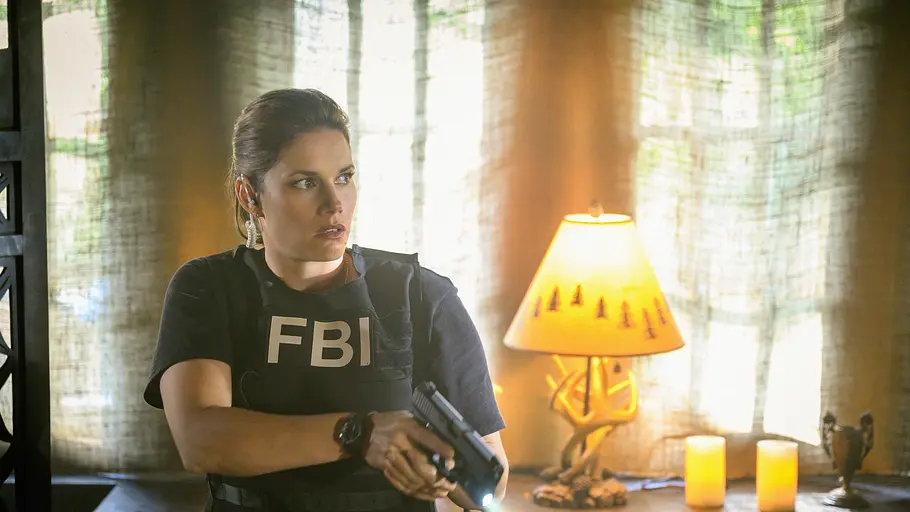 FBI: Special Crime Unit fbi: special crime unit