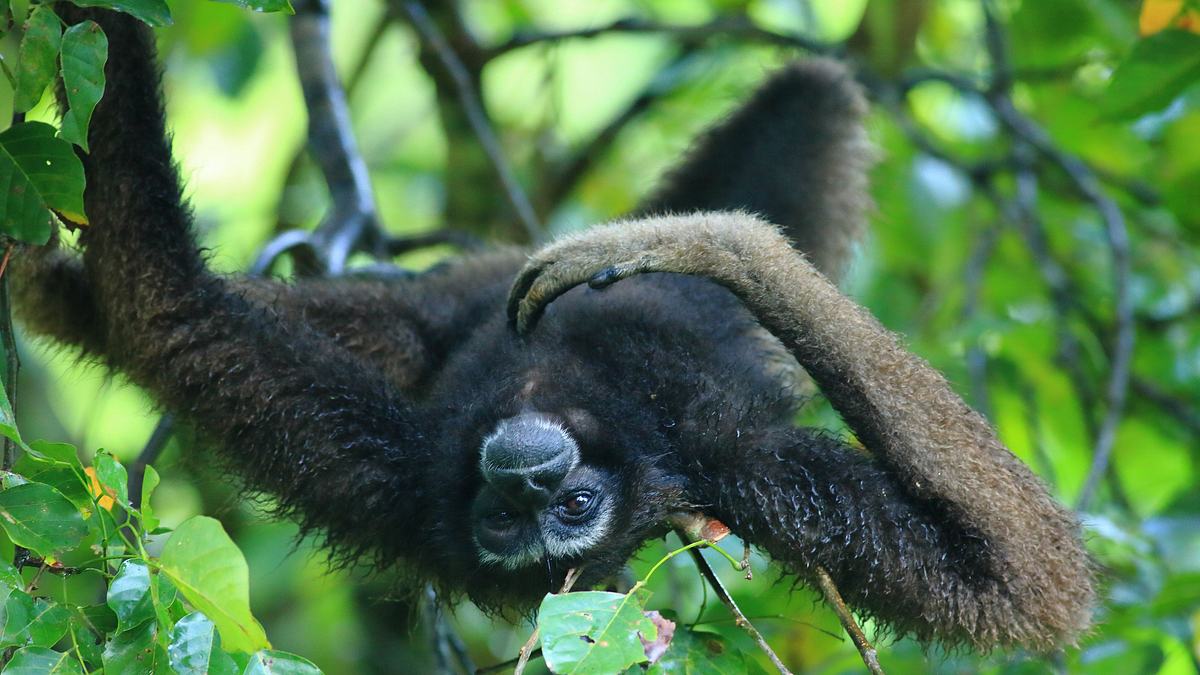 paradiesinseln: wild, bizarr und wunderschön