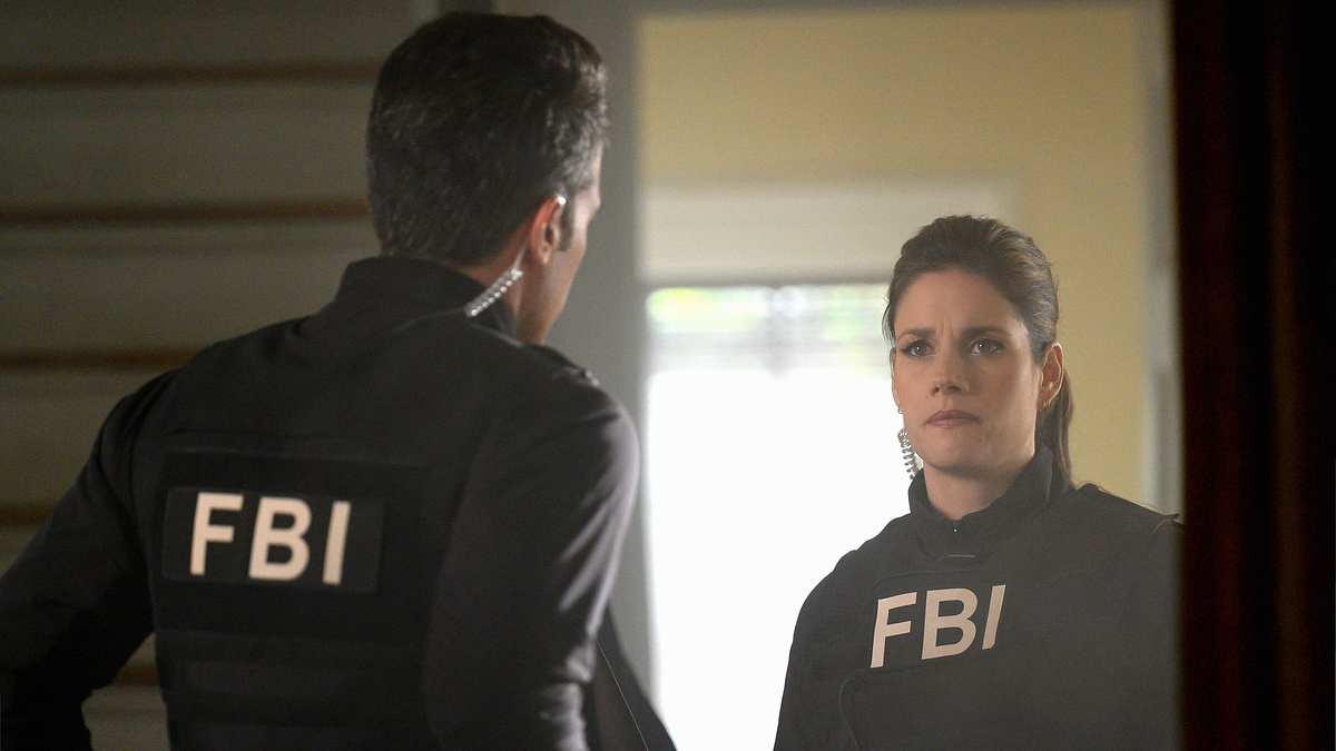 fbi: special crime unit