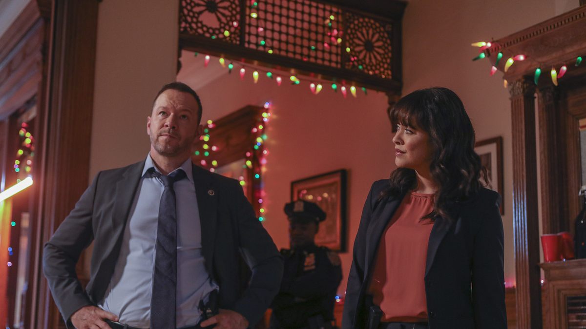 blue bloods - crime scene new york
