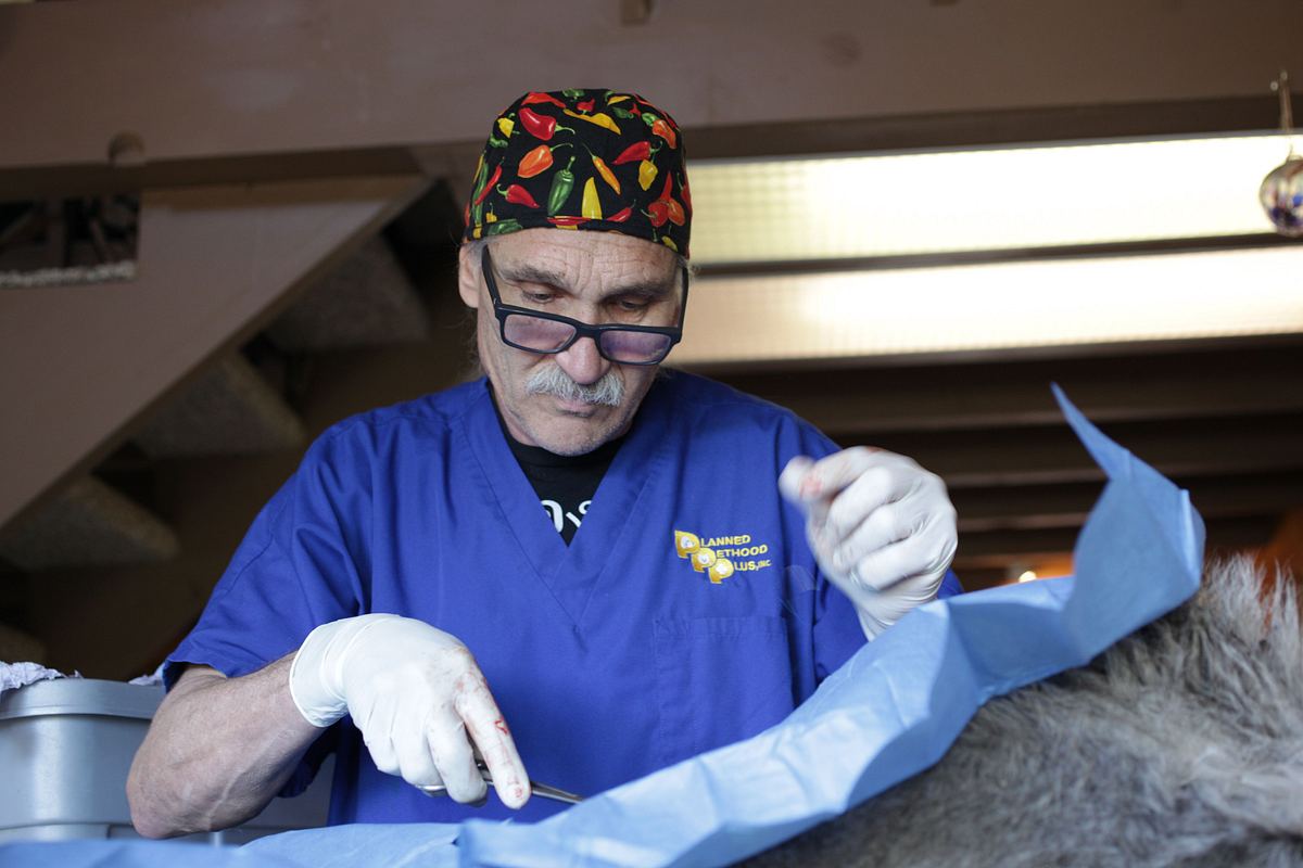 Tierarzt Dr. Jeff tierarzt dr. jeff