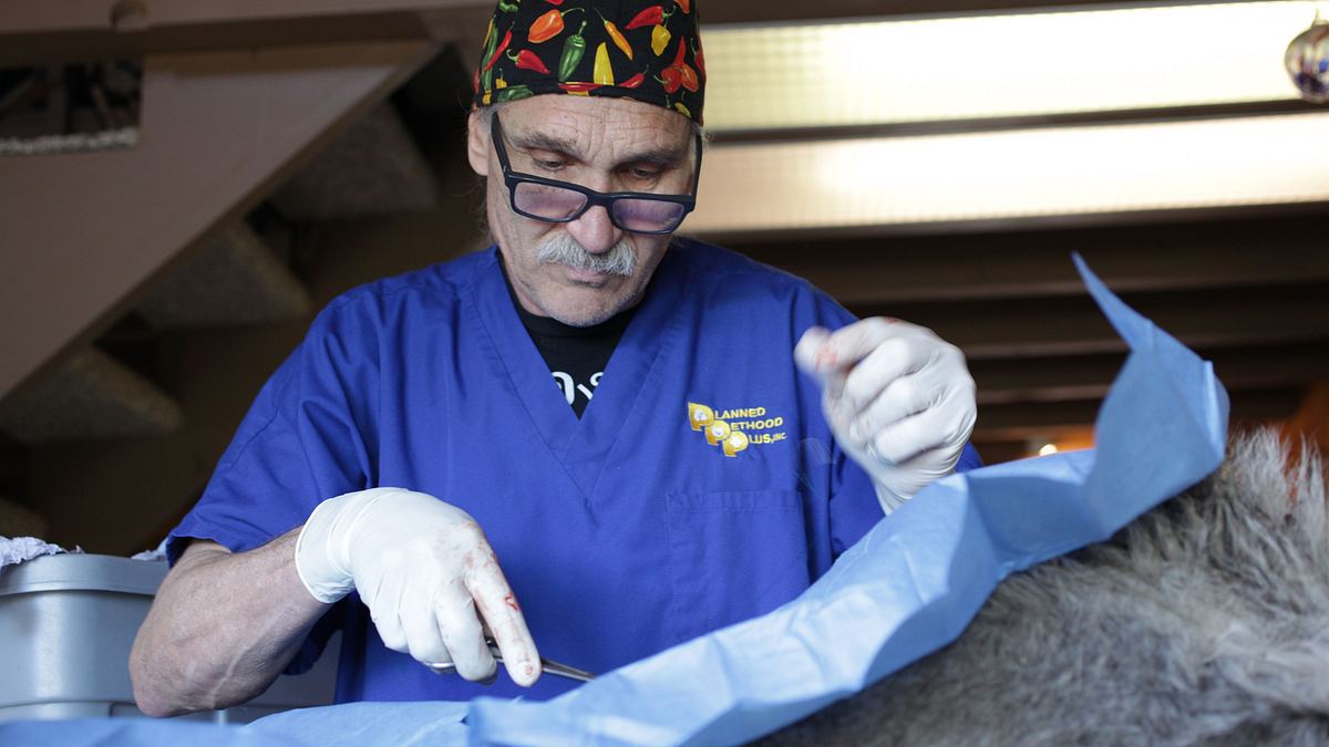 tierarzt dr. jeff