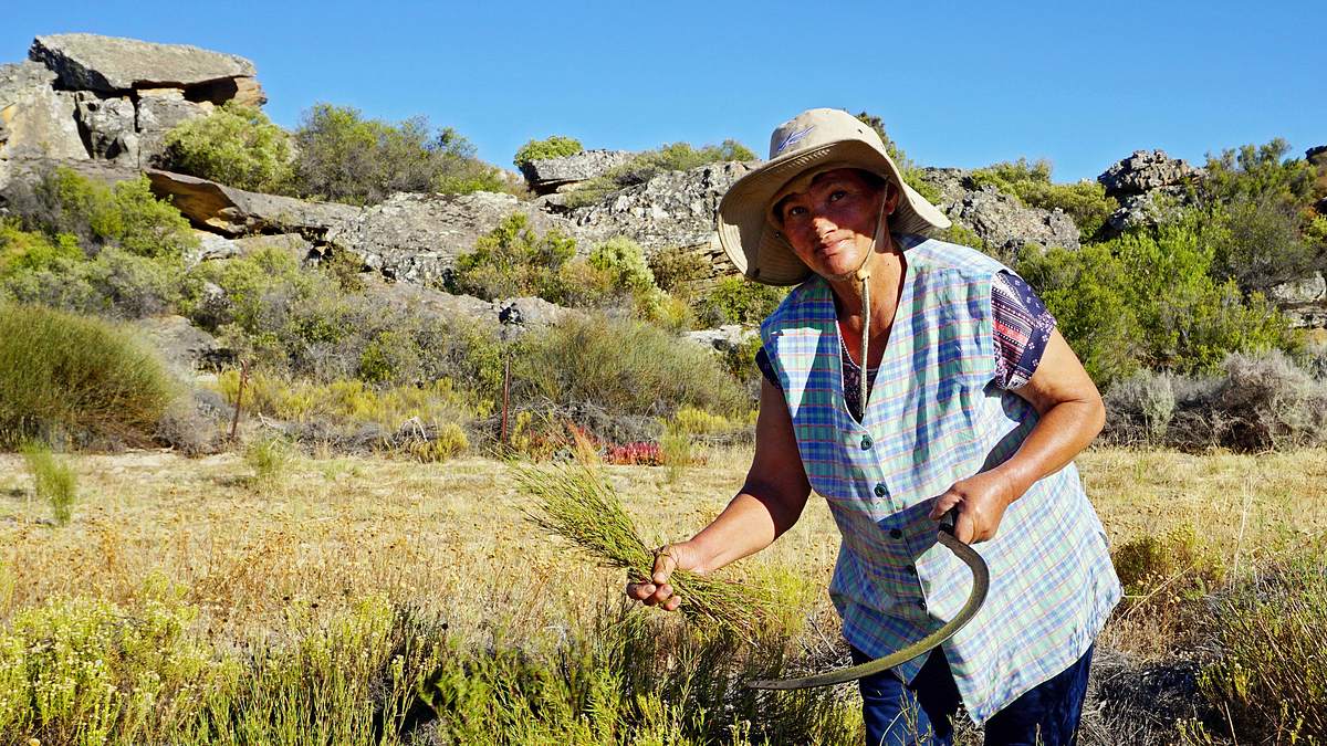 von kapstadt in die kalahari - südafrikas unbekannter westen