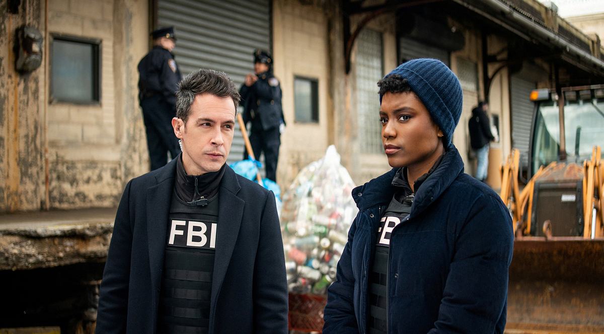 fbi: special crime unit