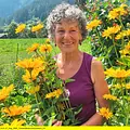 Gärten in den Alpen - Von Überlebenskünstlern, Exoten und Pionieren Thumbnail