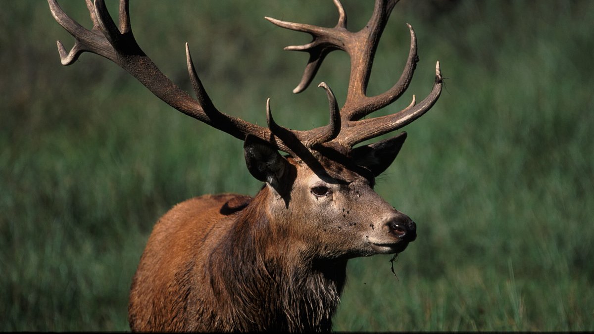 abenteuer wildnis