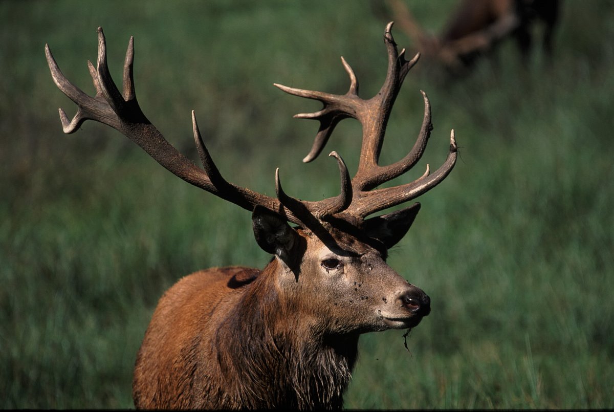 abenteuer wildnis