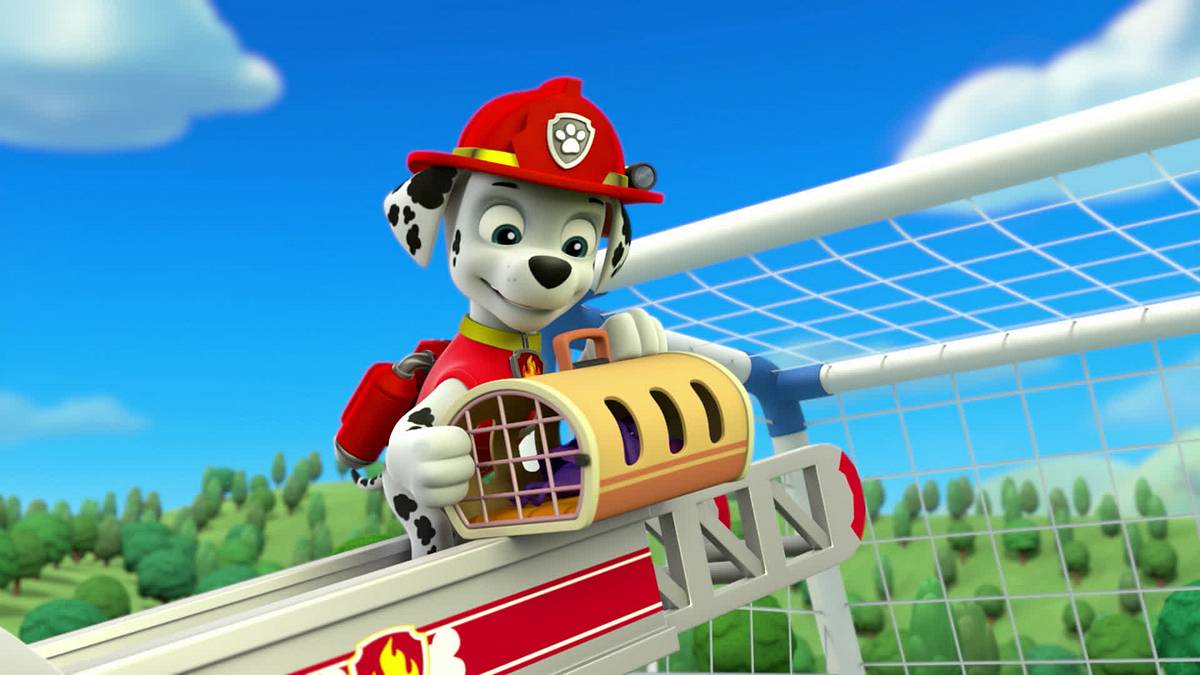 paw patrol - helfer auf vier pfoten