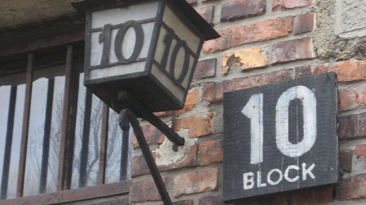 medizinversuche in auschwitz - clauberg und die frauen von block 10