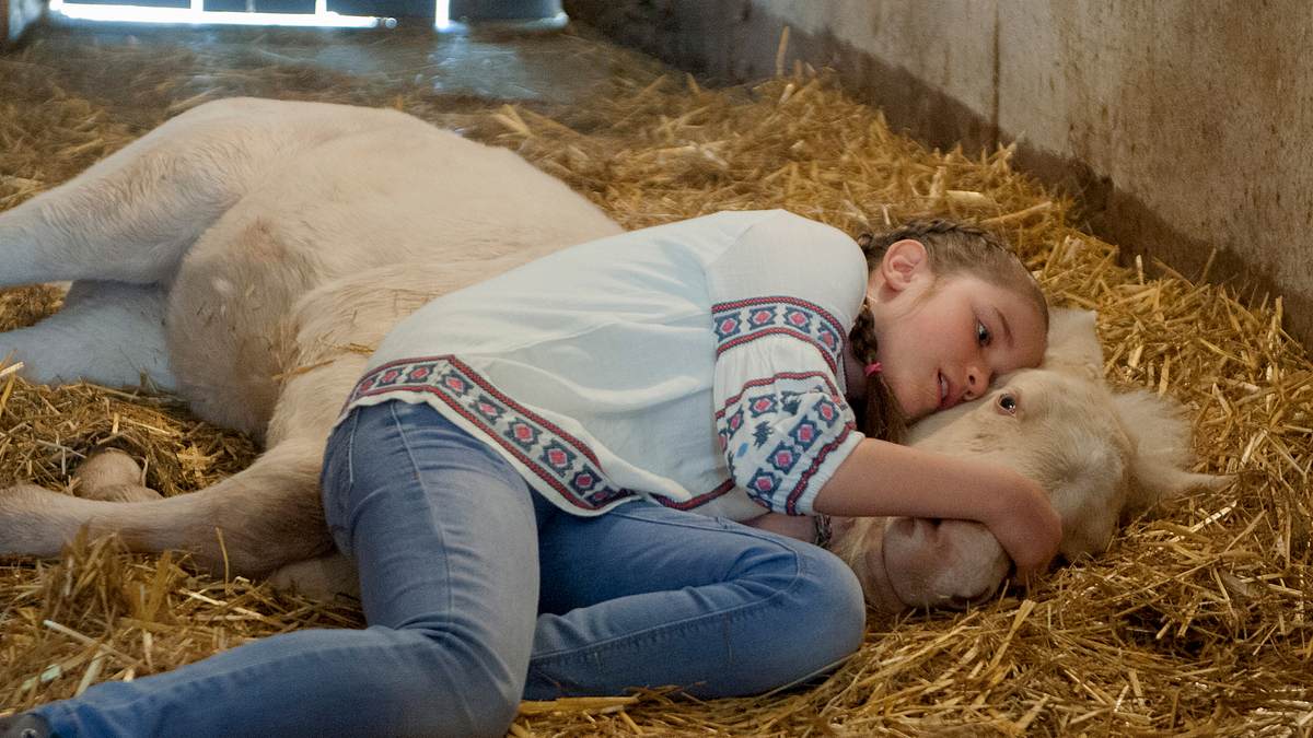 tiere bis unters dach
