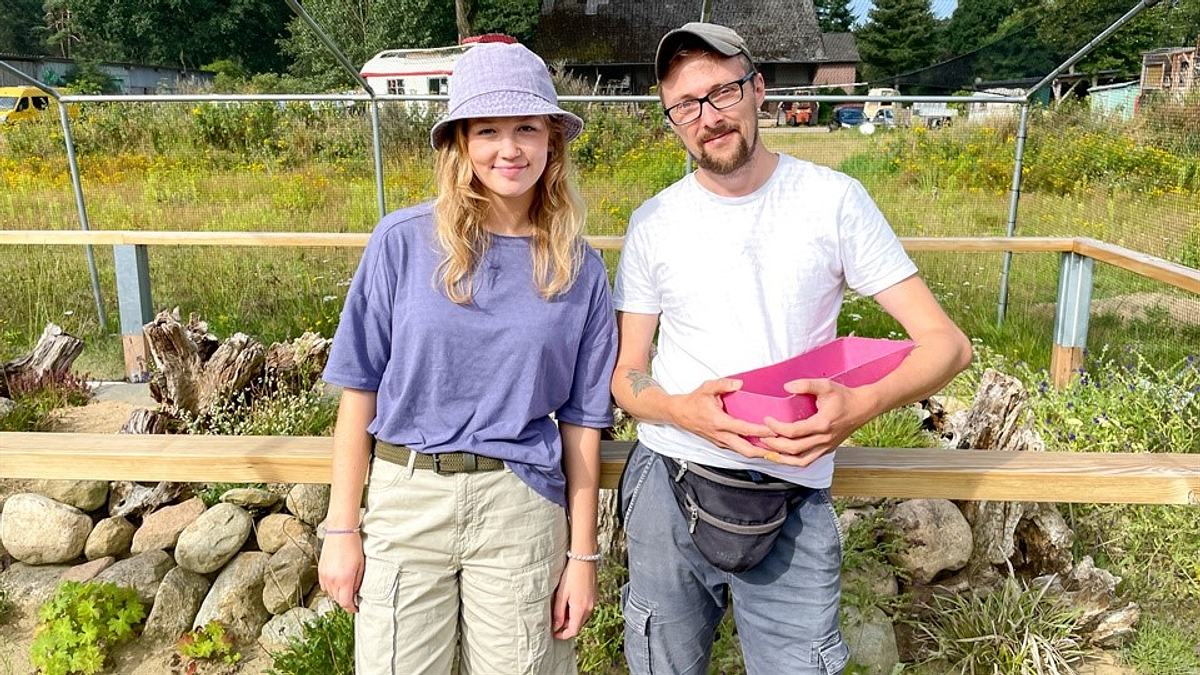 Nina und die wilden Tiere nina und die wilden tiere