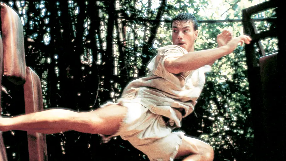 karate tiger iii - der kickboxer