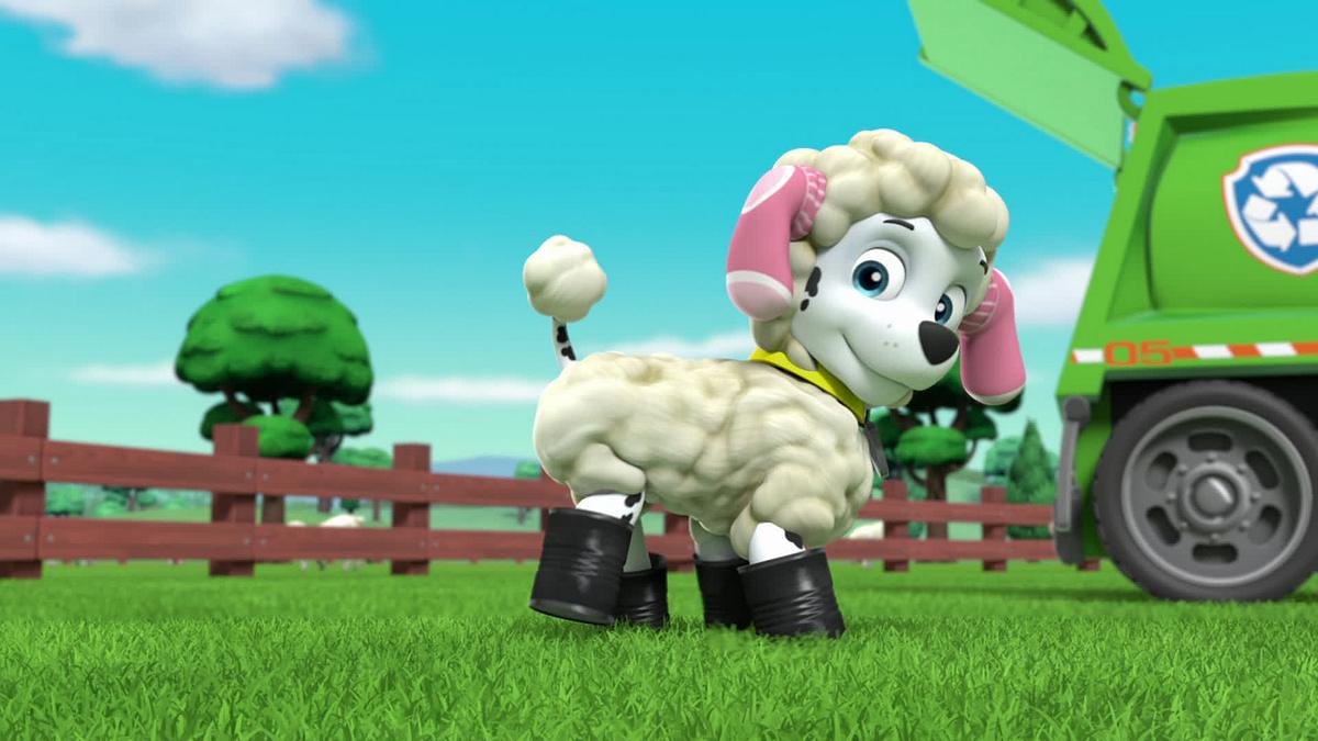 Paw Patrol - Helfer auf vier Pfoten paw patrol - helfer auf vier pfoten