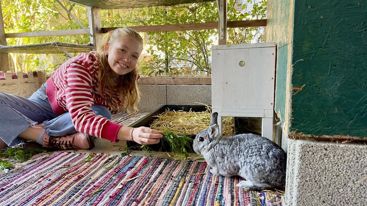 nina und die haustiere